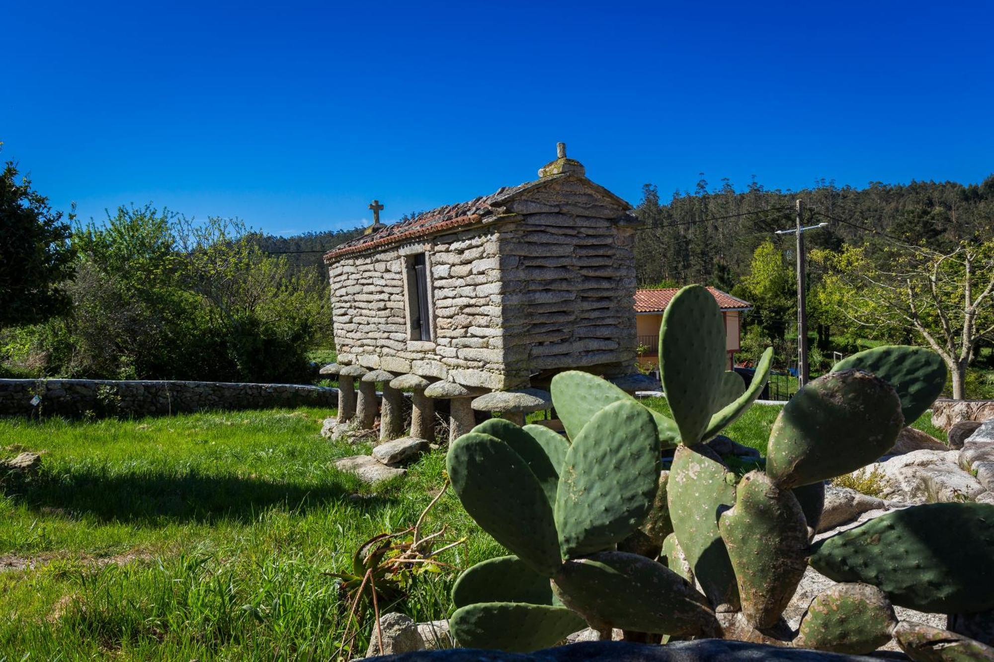 Casa Lela Dumbria Vendégház Kültér fotó