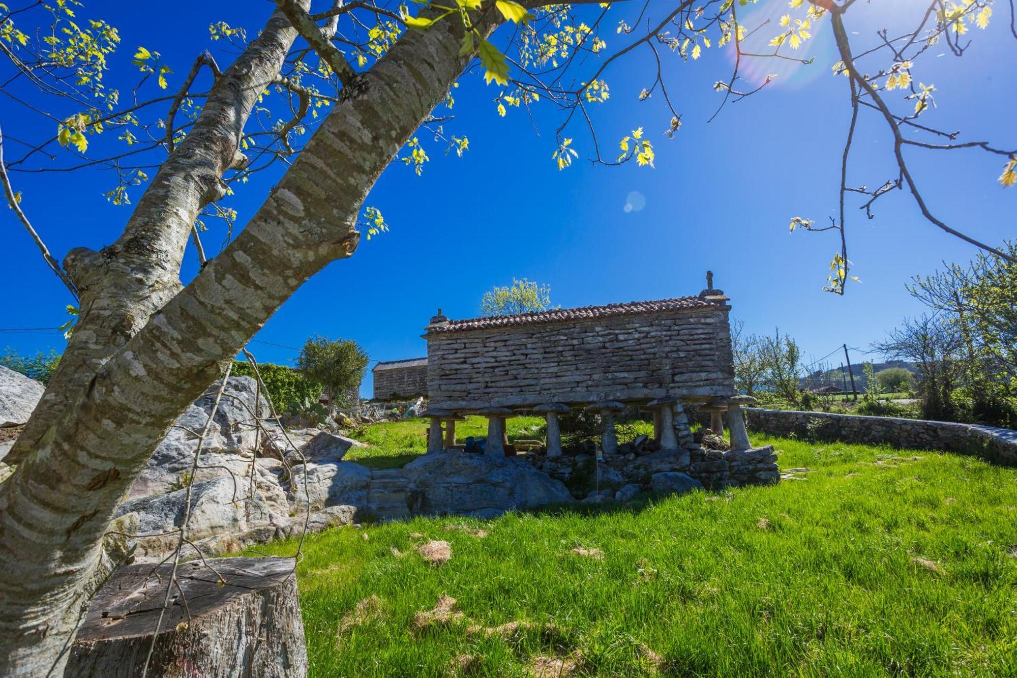 Casa Lela Dumbria Vendégház Kültér fotó